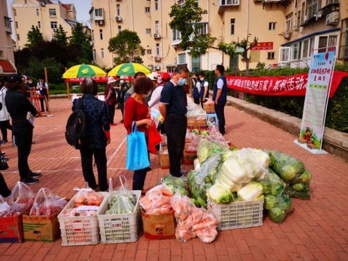 青島市南湛山社區 半小時售罄3000斤！新鮮蔬果進社區，助農惠企利民見實效